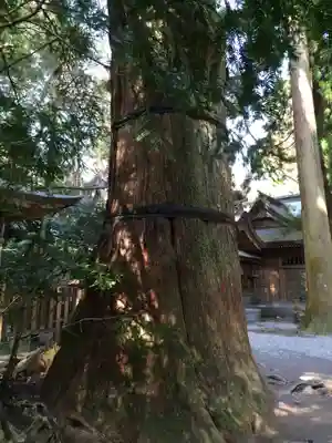 高千穂神社(宮崎県)