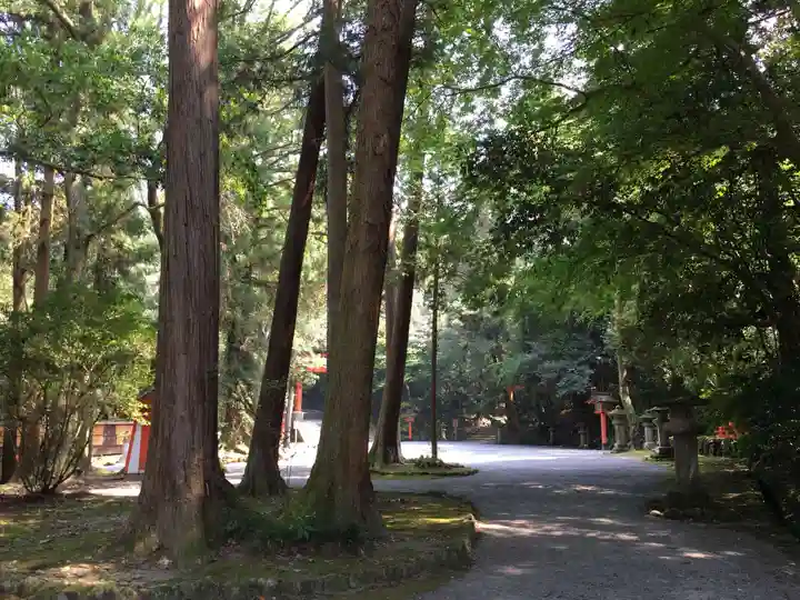 宇佐神宮の自然