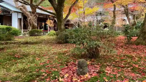 圓光寺(京都府)