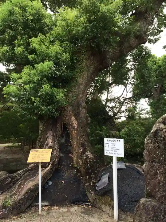高伝寺(佐賀県)