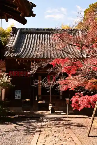 赤山禅院(京都府)