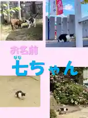 七宮神社(兵庫県)