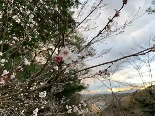 吾妻神社の自然