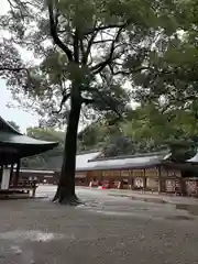 武蔵一宮氷川神社(埼玉県)