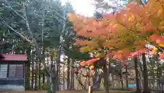 網走神社の自然