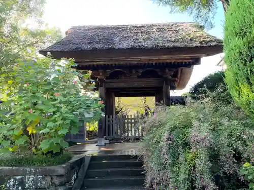 極楽寺（霊鷲山感應院極楽律寺）の山門・神門