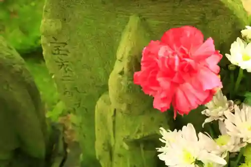 報国寺(神奈川県)