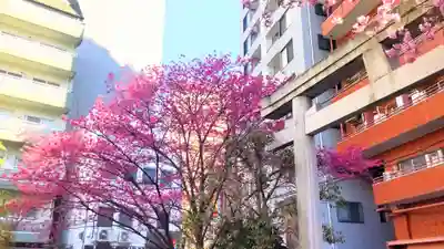 蔵前神社(東京都)