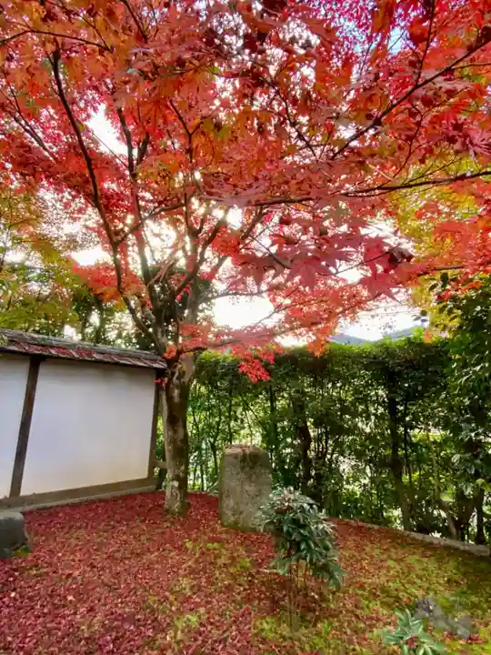 金福寺(京都府)