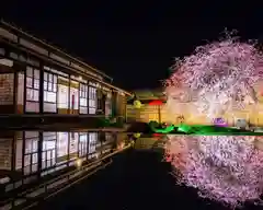 四季桜の寺 妙乗院の建物その他