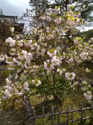 仁和寺(京都府)
