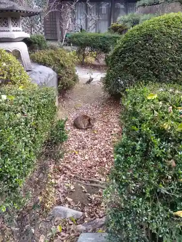 常照院（曼陀羅寺塔頭）(愛知県)