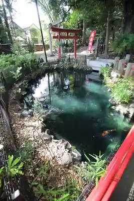 世田谷八幡宮(東京都)