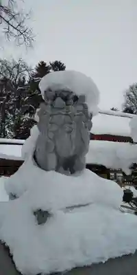 北海道護國神社の狛犬