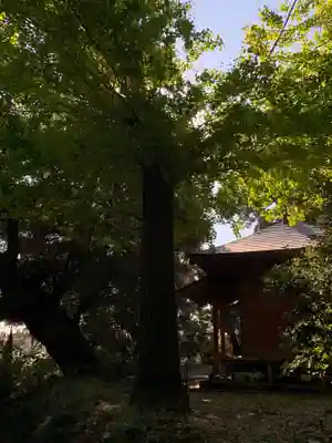 八坂神社(千葉県)