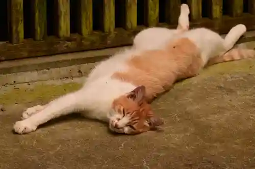 豊楽寺(高知県)