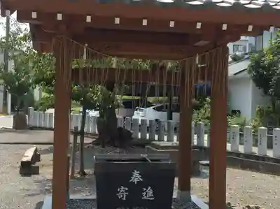 五郎丸神社（天満宮）(福岡県)