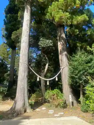 山倉大神(千葉県)