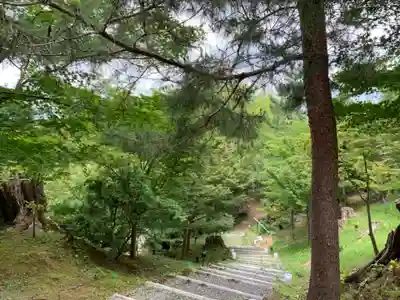 高台寺（高台寿聖禅寺・高臺寺）(京都府)