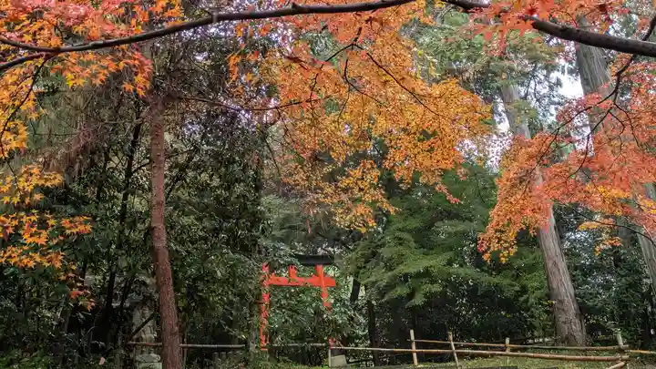 宝積寺(京都府)
