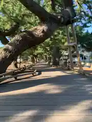 御穂神社の周辺