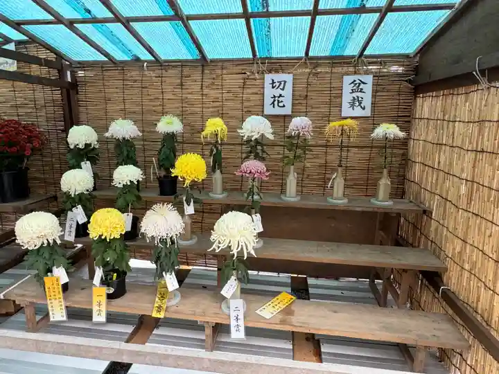 諏訪大社(長野県)