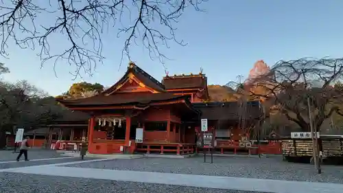 富士山本宮浅間大社(静岡県)