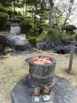 山﨑八幡宮の{uncategorized: "未分類", other: "その他", undefined: "問題あり", building: "その他建物", grave: "お墓", sacred_gate: "鳥居", guardian: "狛犬", statue: "像", buddha: "仏像", history: "歴史", nature: "自然", garden: "庭園", animal: "動物", pagoda: "塔", temizu: "手水舎", mountain_gate: "山門・神門", sanctuary: "本殿・本堂", subordinate: "末社・摂社", art: "芸術", scenery: "景色", jizo: "地蔵", ema: "絵馬", goshuin: "御朱印", omikuji: "おみくじ", items: "授与品その他", amulet: "お守り", goshuincho: "御朱印帳", eats: "食事", festival: "お祭り", votive_dance: "神楽", shichigosan: "七五三参", wedding: "結婚式", experience: "体験その他", initially: "初詣", around: "周辺", anti_infection: "感染症対策"}