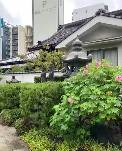 浜本山　源光寺(大阪府)