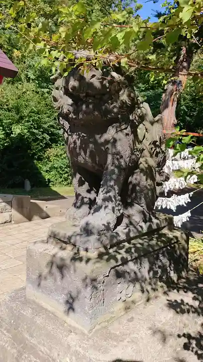 今金八幡神社の狛犬