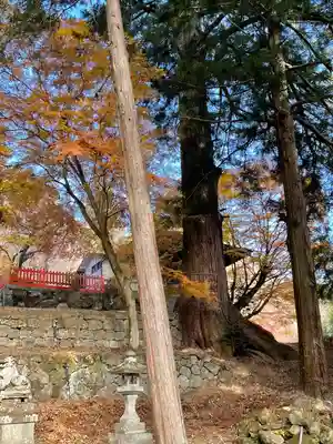 金櫻神社(山梨県)