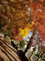 積田神社の{uncategorized: "未分類", other: "その他", undefined: "問題あり", building: "その他建物", grave: "お墓", sacred_gate: "鳥居", guardian: "狛犬", statue: "像", buddha: "仏像", history: "歴史", nature: "自然", garden: "庭園", animal: "動物", pagoda: "塔", temizu: "手水舎", mountain_gate: "山門・神門", sanctuary: "本殿・本堂", subordinate: "末社・摂社", art: "芸術", scenery: "景色", jizo: "地蔵", ema: "絵馬", goshuin: "御朱印", omikuji: "おみくじ", items: "授与品その他", amulet: "お守り", goshuincho: "御朱印帳", eats: "食事", festival: "お祭り", votive_dance: "神楽", shichigosan: "七五三参", wedding: "結婚式", experience: "体験その他", initially: "初詣", around: "周辺", anti_infection: "感染症対策"}