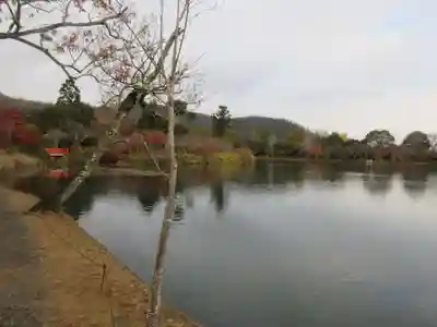 大覚寺(京都府)