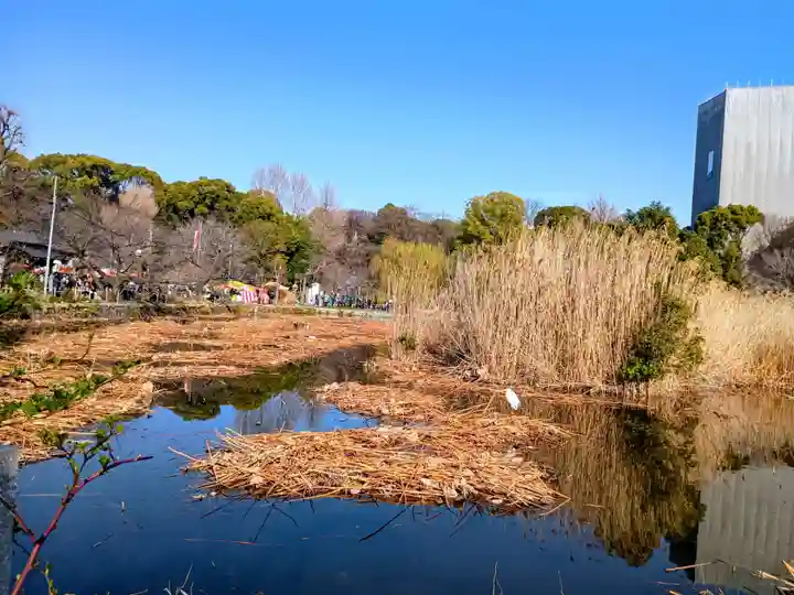 寛永寺不忍池弁天堂(東京都)