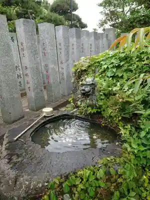 寶珠寺（宝珠寺）の手水舎