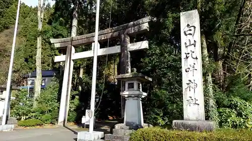 白山比咩神社の鳥居