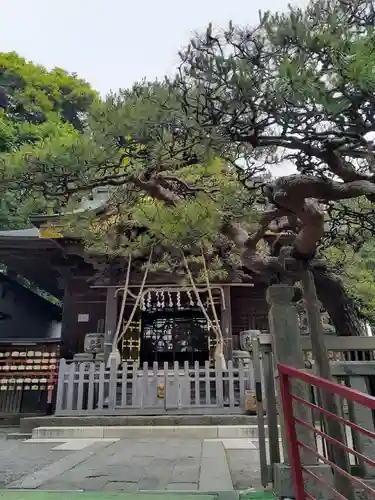 日吉神社の本殿・本堂