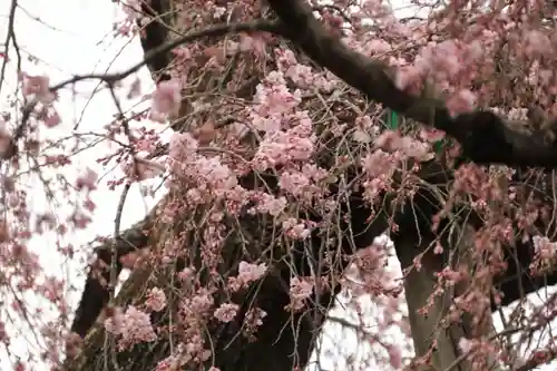 建福寺の庭園