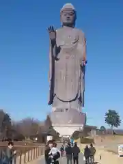 東本願寺本廟 牛久浄苑（牛久大仏）の仏像