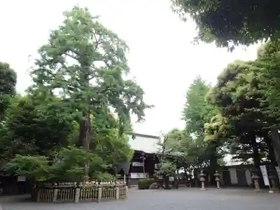 七社神社のその他建物
