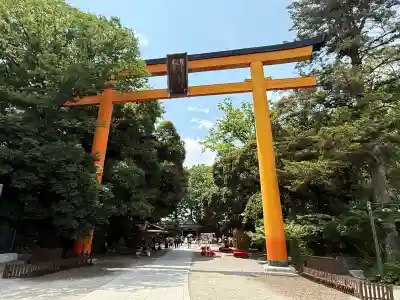 川越氷川神社(埼玉県)