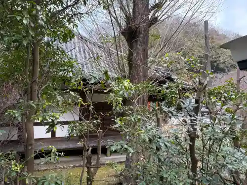 神童寺の{uncategorized: "未分類", other: "その他", undefined: "問題あり", building: "その他建物", grave: "お墓", sacred_gate: "鳥居", guardian: "狛犬", statue: "像", buddha: "仏像", history: "歴史", nature: "自然", garden: "庭園", animal: "動物", pagoda: "塔", temizu: "手水舎", mountain_gate: "山門・神門", sanctuary: "本殿・本堂", subordinate: "末社・摂社", art: "芸術", scenery: "景色", jizo: "地蔵", ema: "絵馬", goshuin: "御朱印", omikuji: "おみくじ", items: "授与品その他", amulet: "お守り", goshuincho: "御朱印帳", eats: "食事", festival: "お祭り", votive_dance: "神楽", shichigosan: "七五三参", wedding: "結婚式", experience: "体験その他", initially: "初詣", around: "周辺", anti_infection: "感染症対策"}
