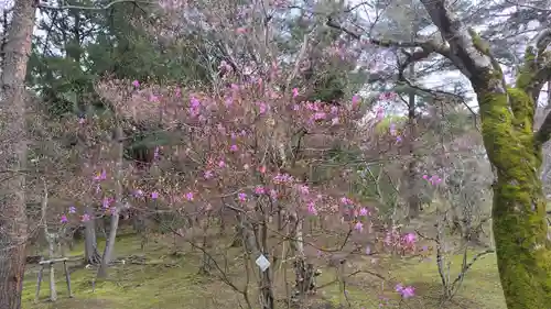 仁和寺(京都府)
