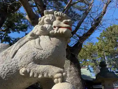 平塚三嶋神社の狛犬