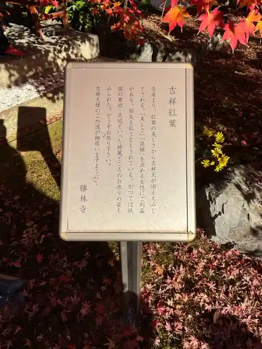 勝林寺(京都府)