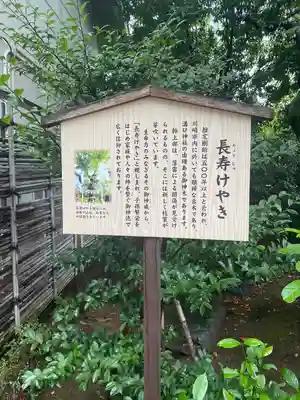 溝口神社(神奈川県)