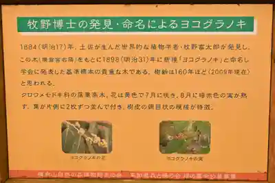 横倉宮(高知県)