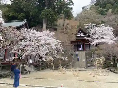 談山神社(奈良県)