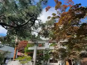 彌彦神社 (伊夜日子神社)の鳥居(2024年08月07日(水) 09時23分43秒投稿)