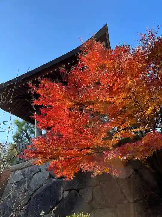 天台宗 長窪山 正覚寺の自然